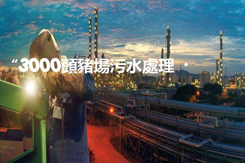“3000頭豬場污水處理，綠色環(huán)保新篇章！”
